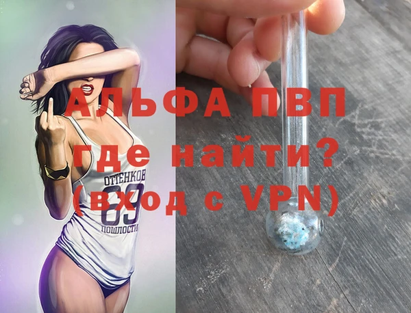 эйфоретик Бородино