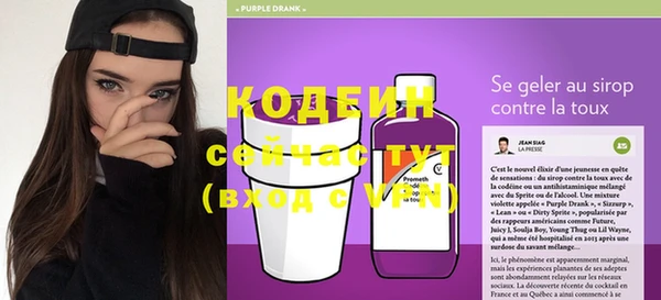 индика Бронницы