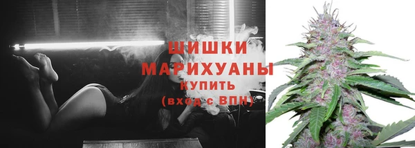 эйфоретик Бородино