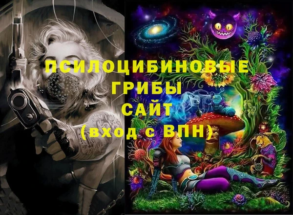 индика Бронницы