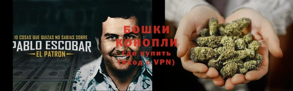 эйфоретик Бородино