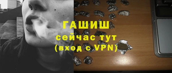 индика Бронницы