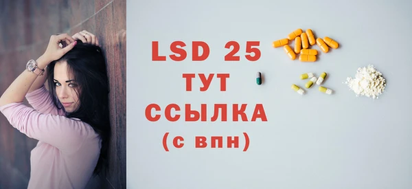 индика Бронницы