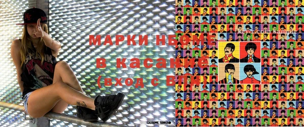 индика Бронницы