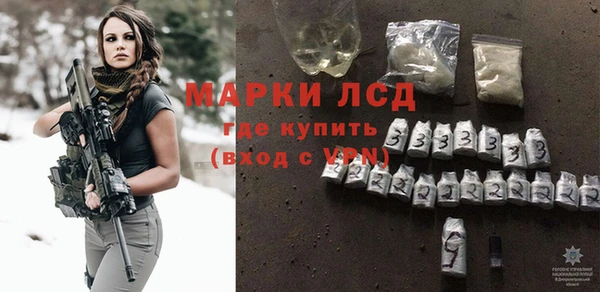 индика Бронницы