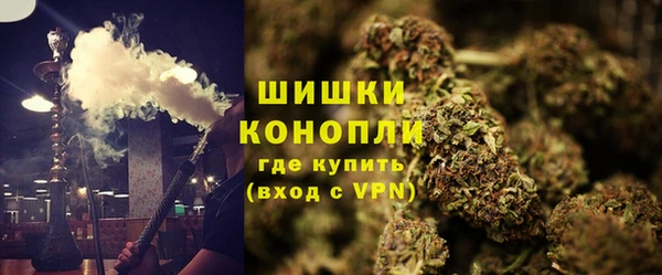 индика Бронницы