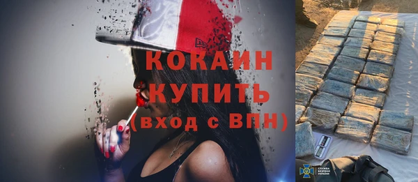 эйфоретик Бородино