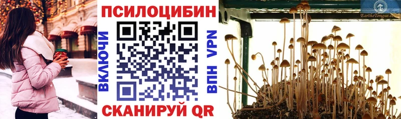 Галлюциногенные грибы Magic Shrooms  Кинешма 